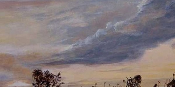 TALLER DE DIBUJO Y PINTURA "SAMAMBÁIA"