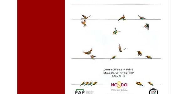 Exposición de Fotografía "Sinfonía de Abejarrucos"