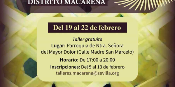 Taller de Palmas