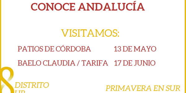 VIAJE A PATIOS DE CÓRDOBA
