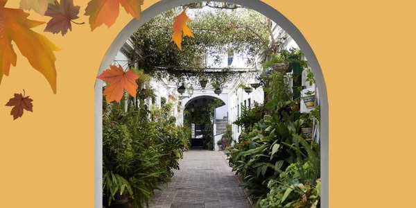 OTOÑO en los Corrales de Triana 2022