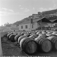 Almacén de aceitunas El Punto. 1955. ©ICAS-SAHP, Fototeca Municipal de Sevilla, fondo Manuel de Arcos