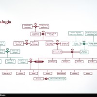 Cuadro genealógico de Alfonso X. Elaboración: Mª Antonia Carmona.