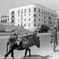 Calle Luis Montoto. A la izquierda confluye la calle Eduardo Rivas. 1966 ©ICAS-SAHP, Fototeca Municipal de Sevilla, archivo Gelán