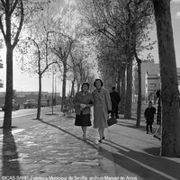 Calle Eduardo Dato. Bulevar. 1959  ©ICAS-SAHP, Fototeca Municipal de Sevilla, archivo Manuel de Arcos