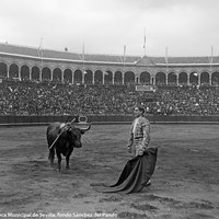 13- Joselito mira al tendido tras entrar a matar a su enemigo en la Real Maestranza de Sevilla. 1914