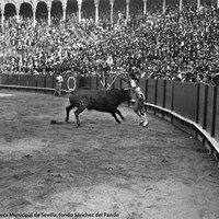 3- Joselito durante la ejecución de clavar un par de banderillas de dentro a fuera en la Real Maestranza de Sevilla.1918