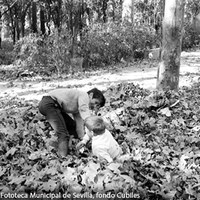 22. Niños jugando entre la hojarasca del otoño de 1972 ©ICAS-SAHP, Fototeca Municipal de Sevilla, fondo Cubiles