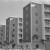 6. Vista de los nuevos edificios de la barriada de Pío XII en la fecha de su inauguración. Bloques de viviendas de seis plantas. Noviembre de 1958 ©ICAS-SAHP, Fototeca Municipal de Sevilla, archivo Gelán