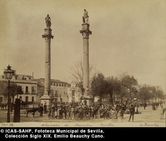 SXIX29_019.jpg