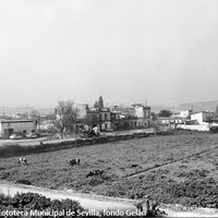 05. En la prolongación de la actual avenida de Coria, en el conocido como Camino de Las Erillas, se alzaba la Venta del Charco de la Pava, en un asentamiento de pocas casas de autoconstrucción rodeadas de huertos. 1977  ©ICAS-SAHP. Fototeca Municipal de Sevilla, fondo Gelán
