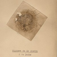 Higuera de la Sierra. 1479. ICAS-SAHP, Archivo Municipal de Sevilla, C.S. n.º 54