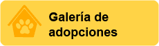 galeria de adopciones.png