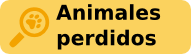 Animales perdidos