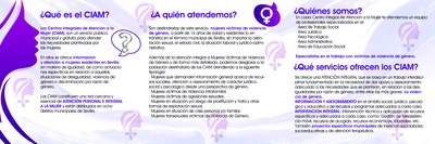 TRIPTICO CIAM 2020 A
